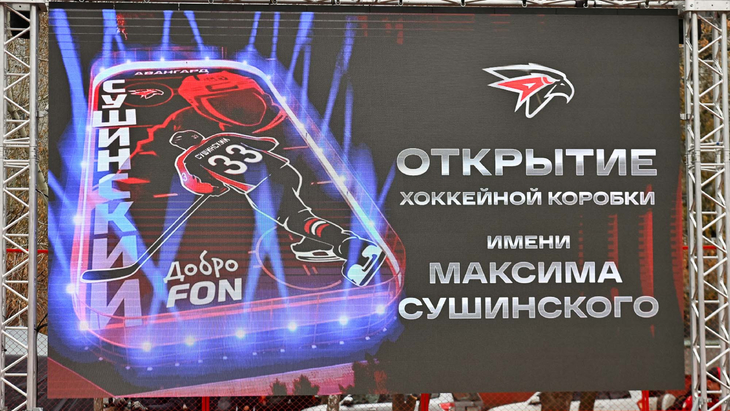 Хоккейная площадка имени Максима Сушинского