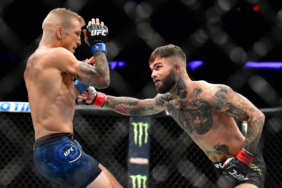 Ти Джей Диллашоу против Коди Гарбрандта