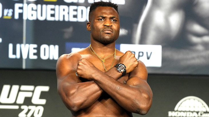 Фрэнсис Нганну Фрэнсис Нганну