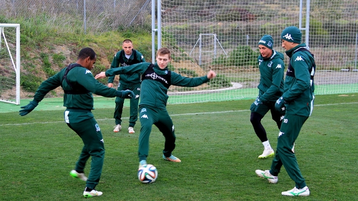 «Быки» в Андалусии