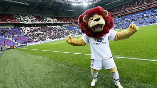 Новый стадион «Лиона»