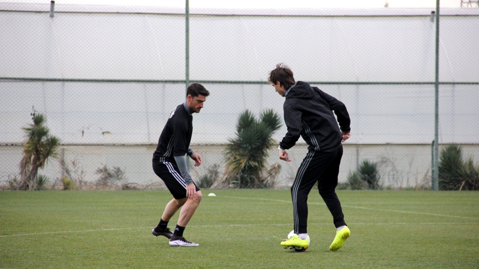 «Томь» проведет три контрольных матча на втором сборе