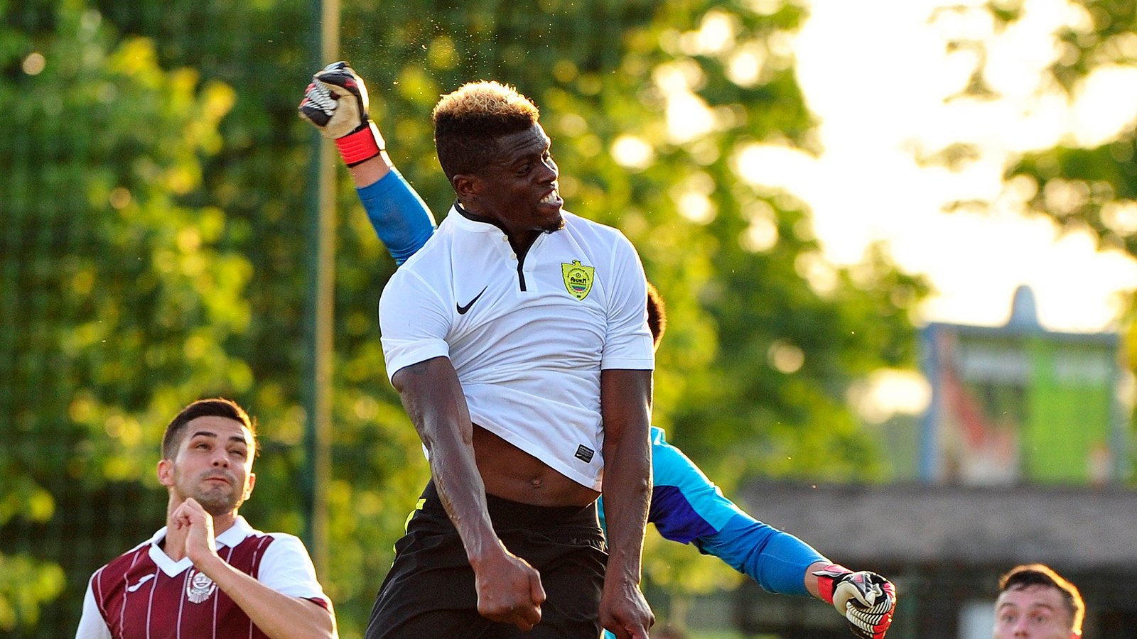 Тома Фибель