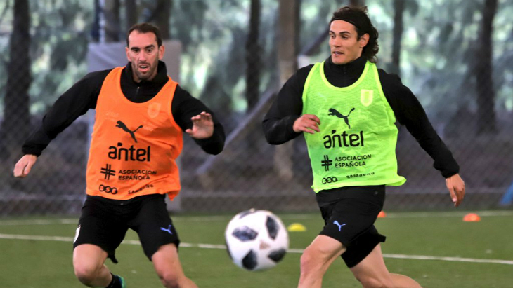 Диего Годин и Эдинсон Кавани