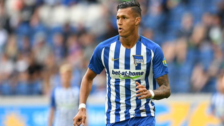 Дэви Зельке