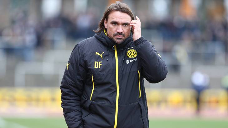 Даниель Фарке