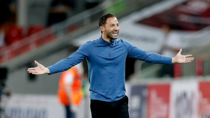 Доменико Тедеско Доменико Тедеско