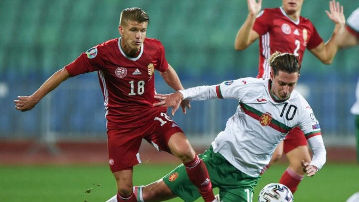 Давид Шигер