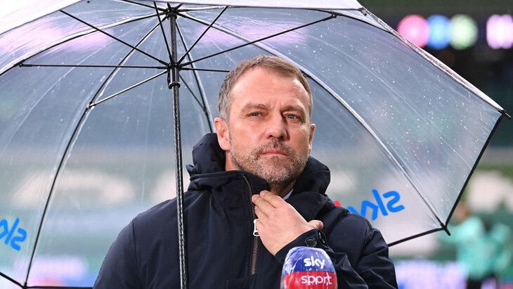 Ханс-Дитер Флик