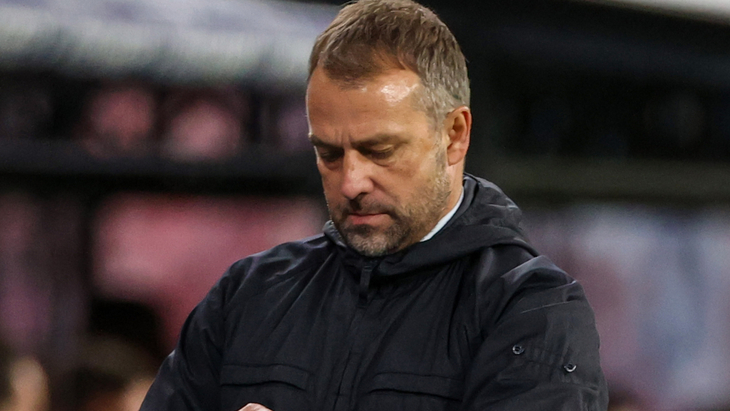 Ханс-Дитер Флик