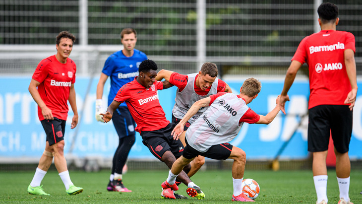 Футболистам «Байера» придется какое-то время тренироваться в закрытом помещении