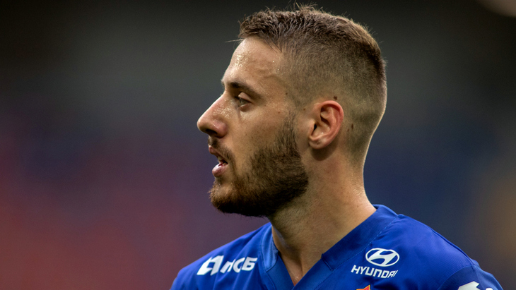 Никола Влашич