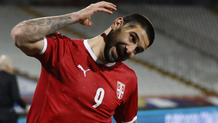 Александр Митрович Александр Митрович