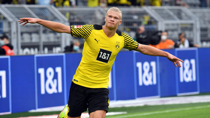 Эрлинг Холанн