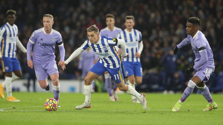 «Брайтон энд Хоув Альбион»