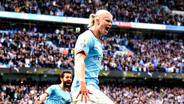 Эрлинг Холанн