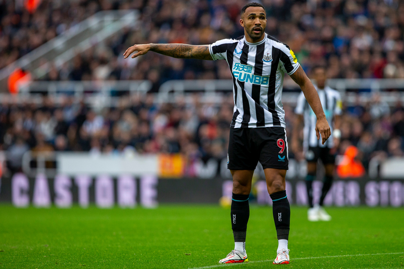 Каллум Уилсон