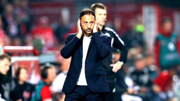 Доменико Тедеско