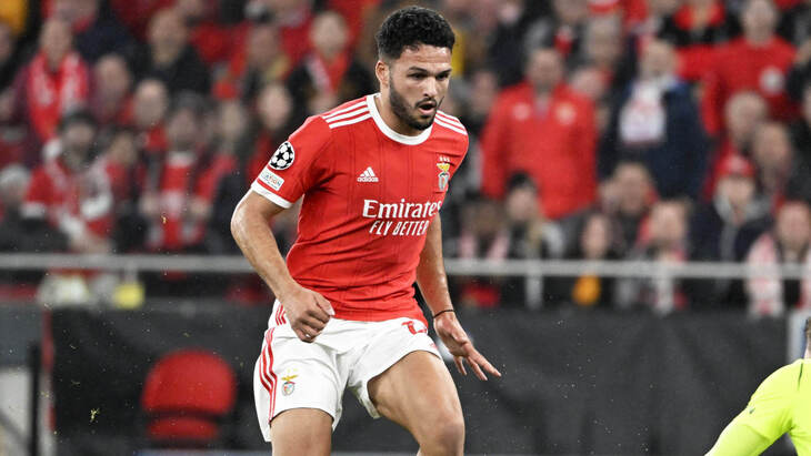 Гонсалу Рамуш