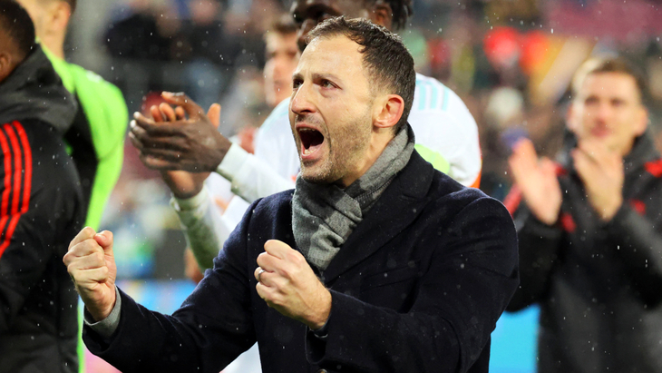 Доменико Тедеско