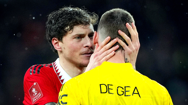 «МЮ» — «Брайтон»