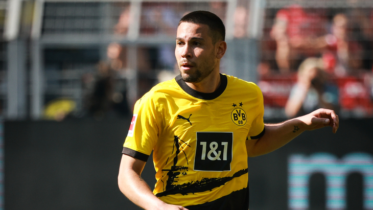 Рафаэл Геррейру