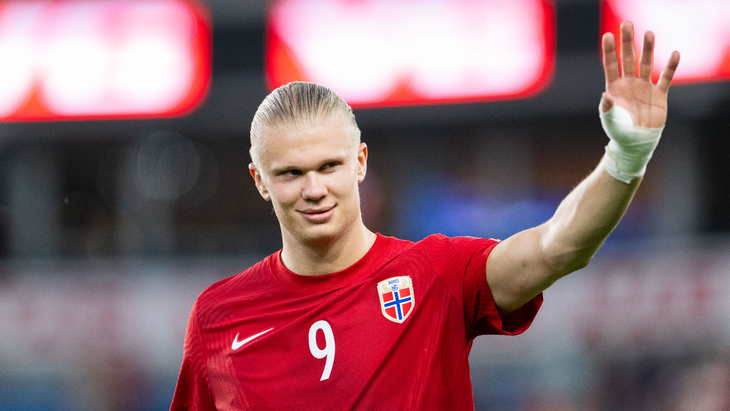 Эрлинг Холанн