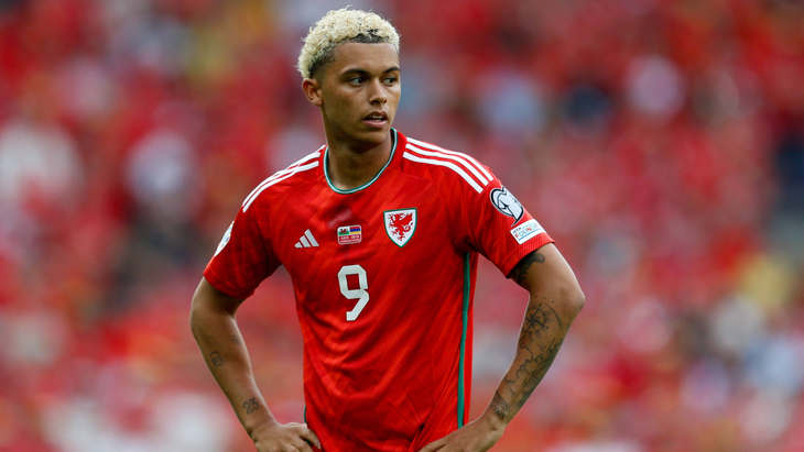 Бреннан Джонсон