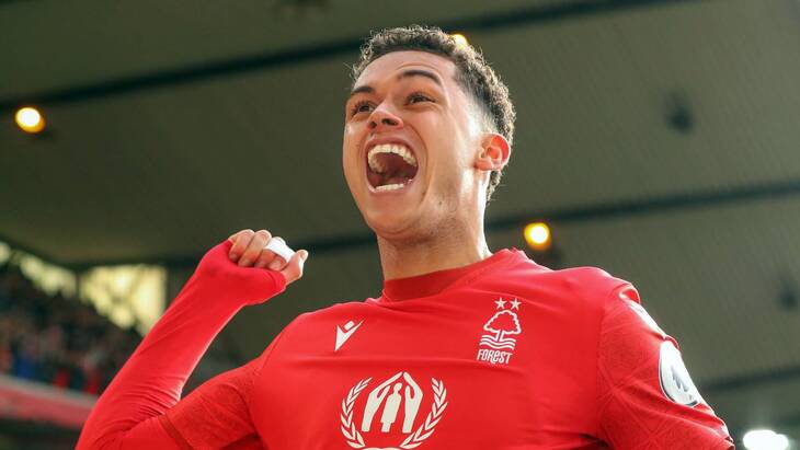 Бреннан Джонсон