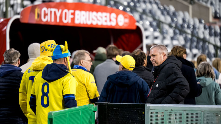 Болельщики сборной Швеции