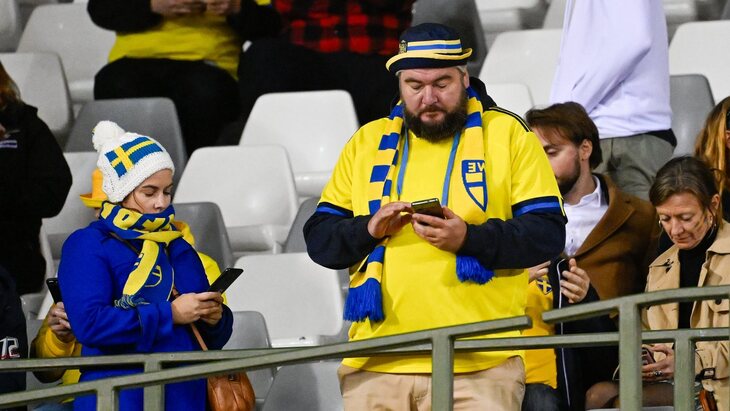Болельщики сборной Швеции