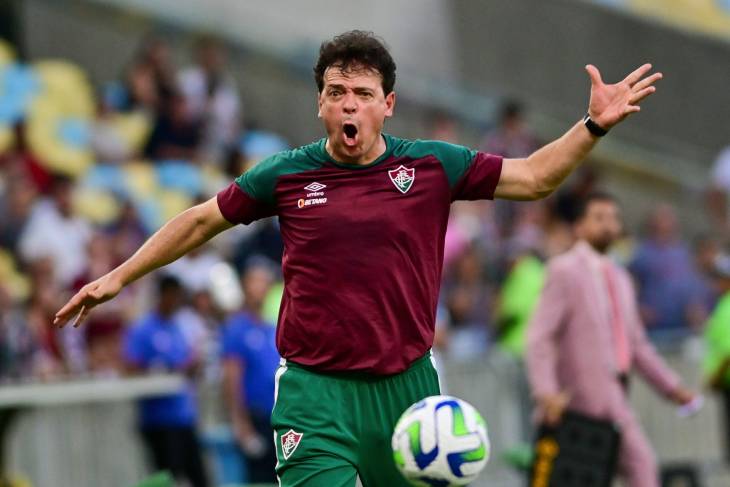 Фернандо Диниз