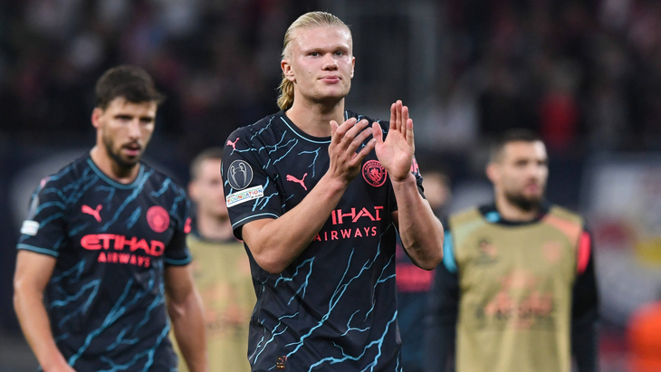 Эрлинг Холанн