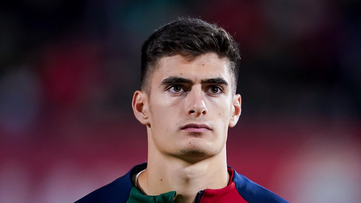 Антониу Силва