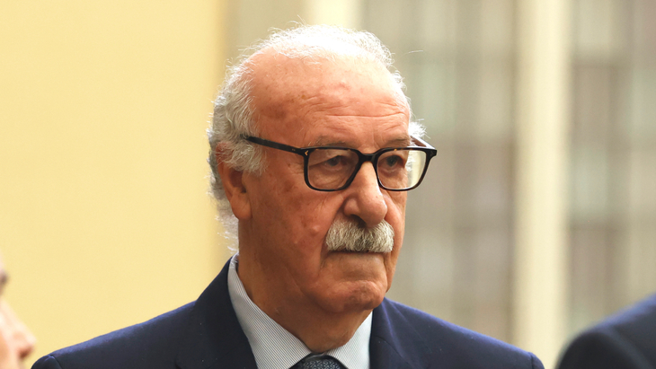 Висенте дель Боске