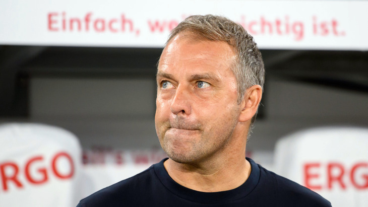 Ханс-Дитер Флик