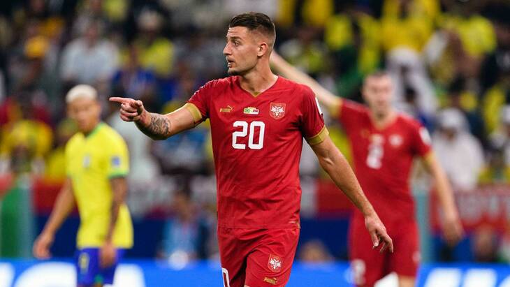 Сергей Милинкович-Савич