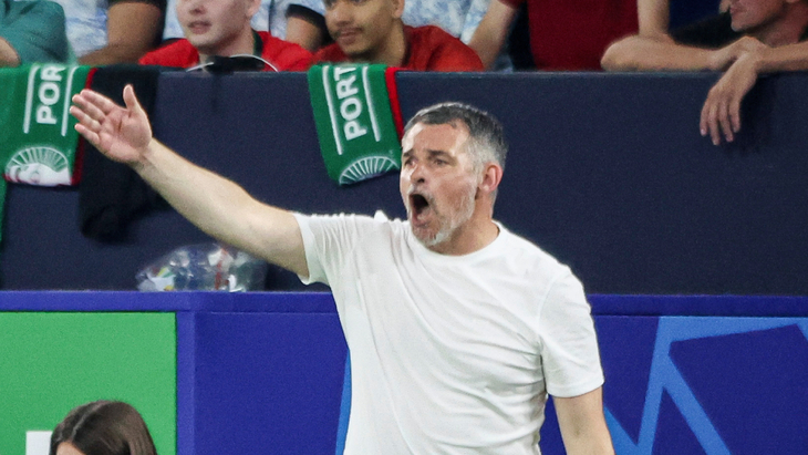 Вилли Саньоль