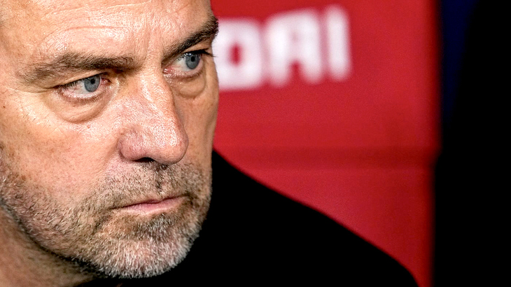 Ханс-Дитер Флик