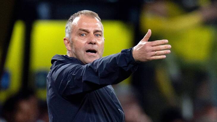 Ханс-Дитер Флик