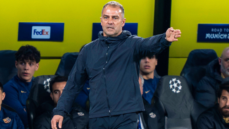 Ханс-Дитер Флик