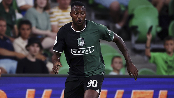 Кобнан Дэвид