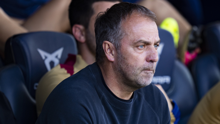 Ханс-Дитер Флик