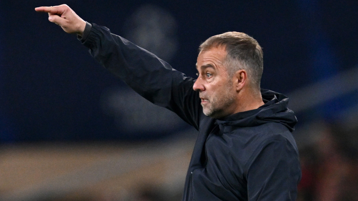 Ханс-Дитер Флик