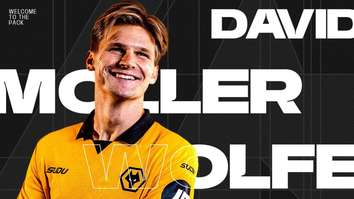 Давид Вольфе