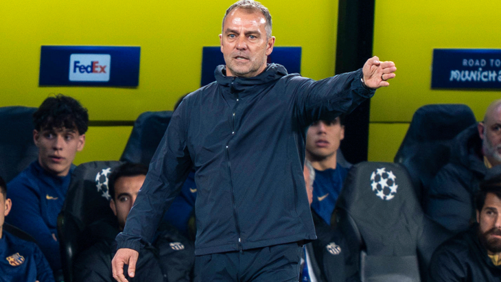 Ханс-Дитер Флик