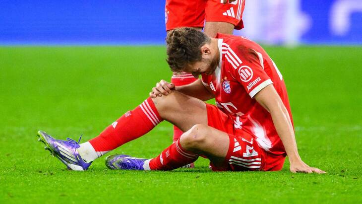 Йосип Станишич