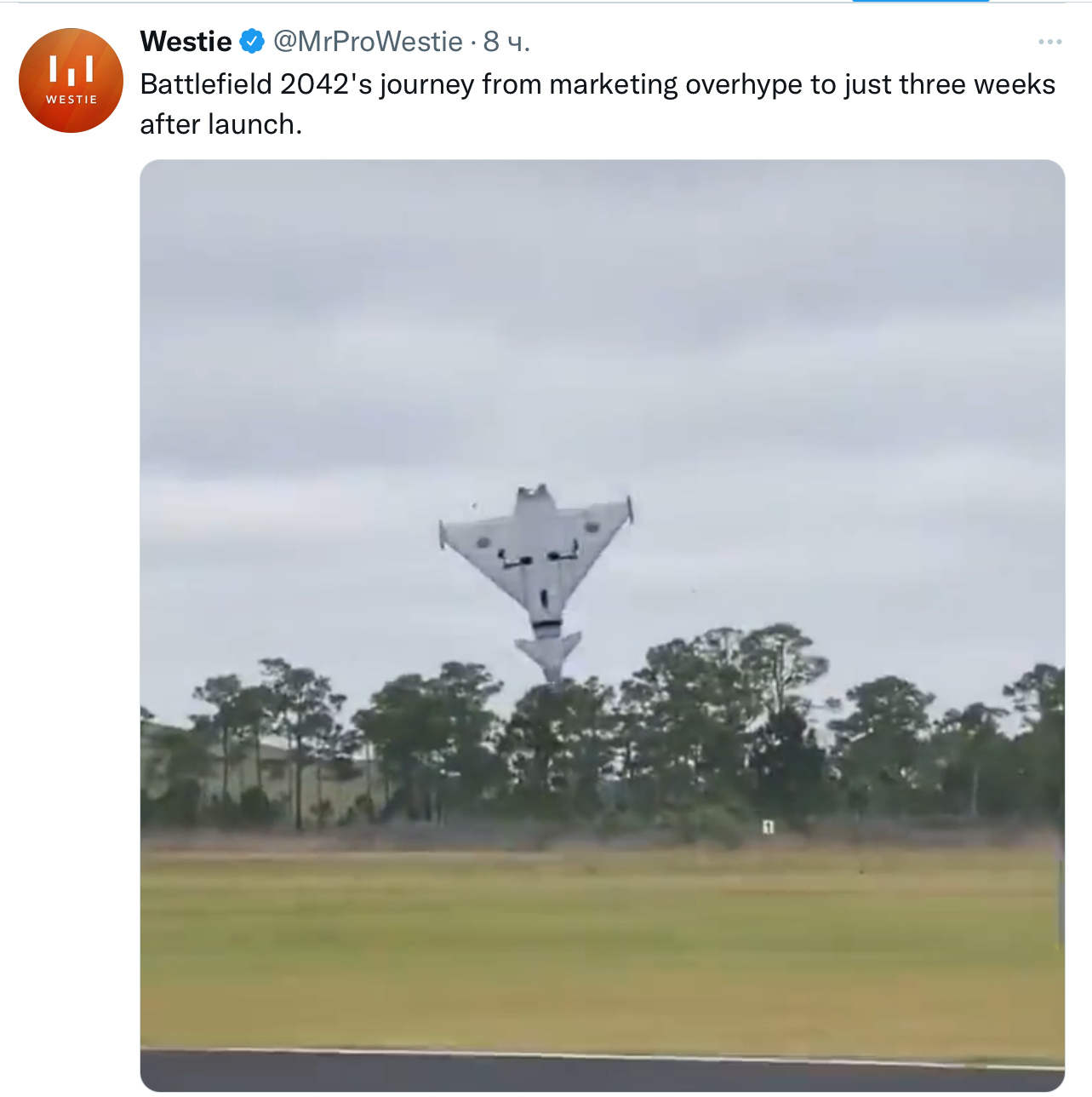 Твит ютубера Westie