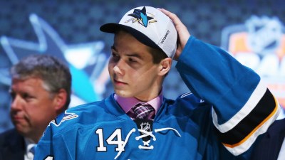 Николай Голдобин