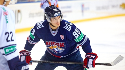 Владислав Каменев